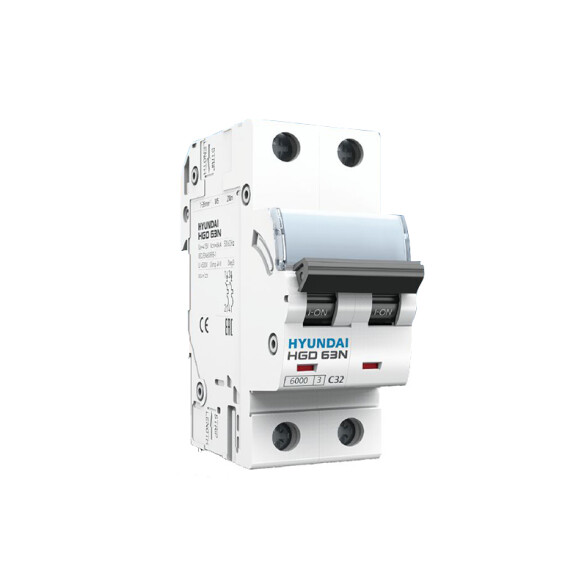 Llave térmica HGD63-N din 2P 32A 6KA HY1632X