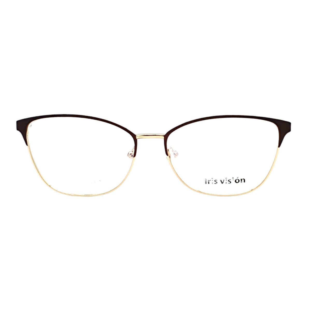 IV050133 - marróncombinado 