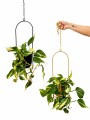 POTHUS EN COLGANTE METALICO DORADO