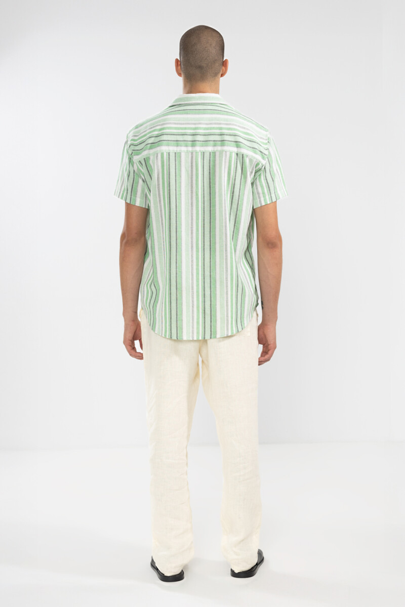 FEDE SHORT SLEEVE SHIRT STRIPE Green