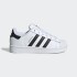 Championes Adidas Superstar II Blanco