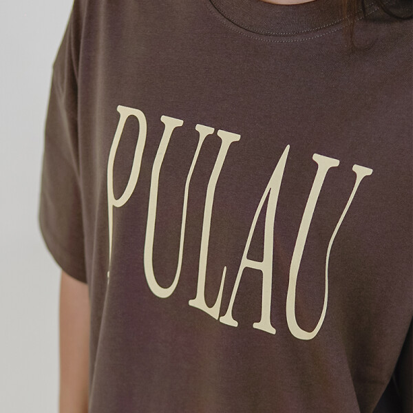 Remera Pulau Miedo Marrón