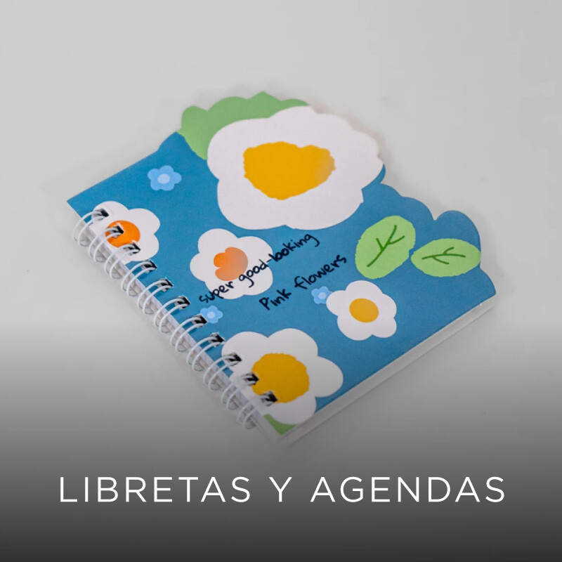 Libretas y Agendas