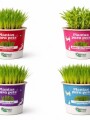 ALIMENTO PARA MASCOTAS ALIMENTO PARA MASCOTAS