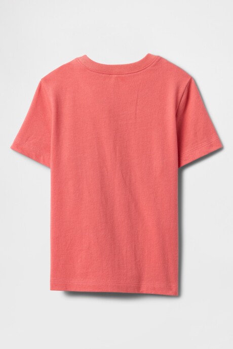 Remera Disney Toddler Niño Watermelon Ice