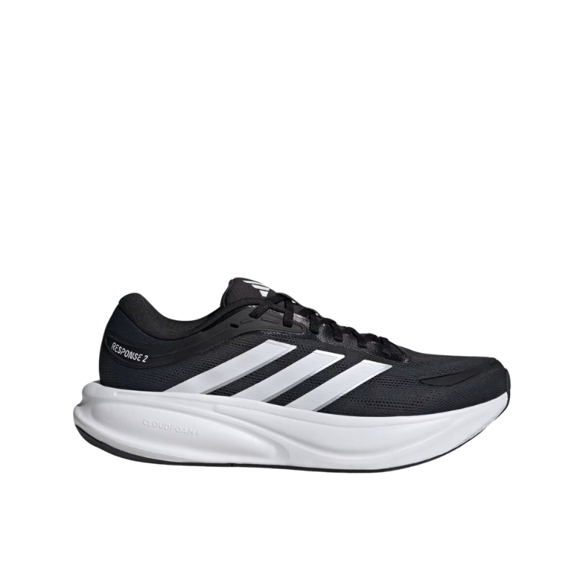 CHAMPION 6.5-11.5 - BLACK WHIT 