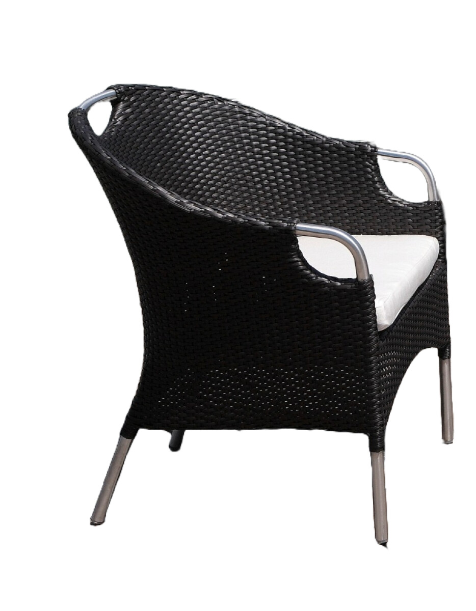 Sillón Jardin Simil Rattan y Acero Inox. 