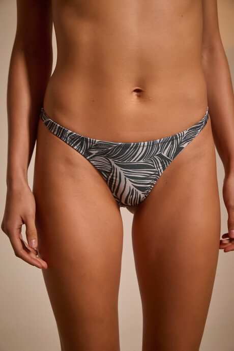 Colaless Muria Estampado 015