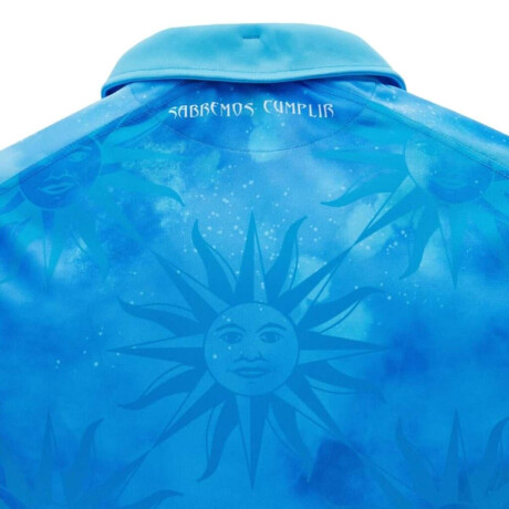 Camiseta Oficial Teros 2024