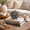 DECORACION SPINE Negro - Small