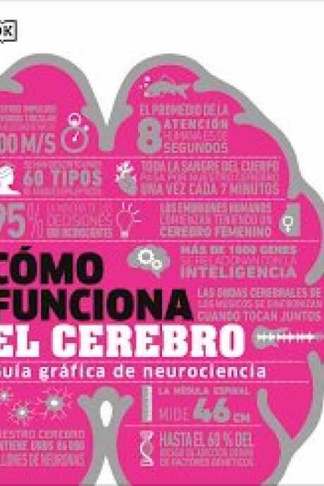 COMO FUNCIONA EL CEREBRO COMO FUNCIONA EL CEREBRO