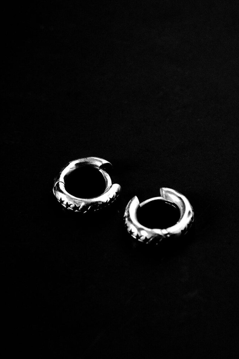 Icon Monogram Earrings Plata