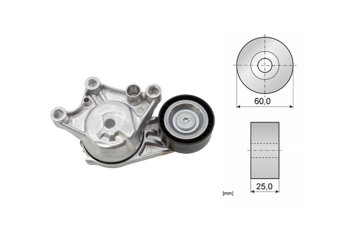 Tensor De La Correa Citroen Jumpy, Peug Expert 19-25 Tensor De La Correa Citroen Jumpy, Peug Expert 19-25
