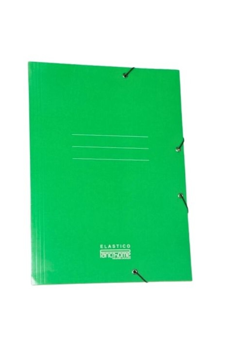 CARPETA PANCHROME CON ELASTICO 307 COLOR VERDE 