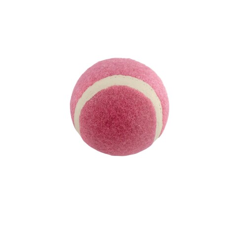 Pelota mascota 2pcs rosa