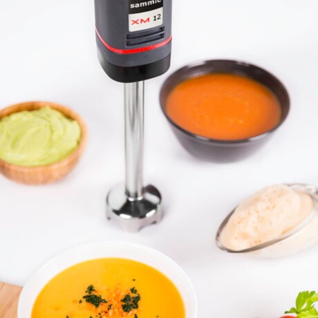 Mixer Triturador Profesional 10 Litros Sammic Mixer Triturador Profesional 10 Litros Sammic