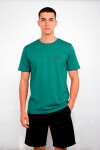 Remera Palmer Verde