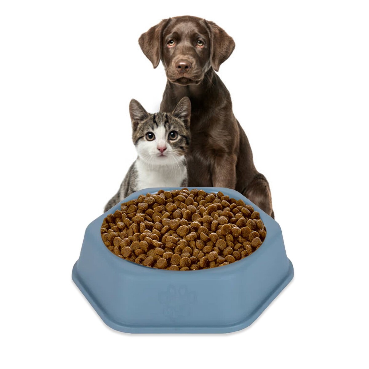 Tazon De Comida Agua Perro Gato Mascotas Comedero Calidad - Variante Color Azul Oscuro 