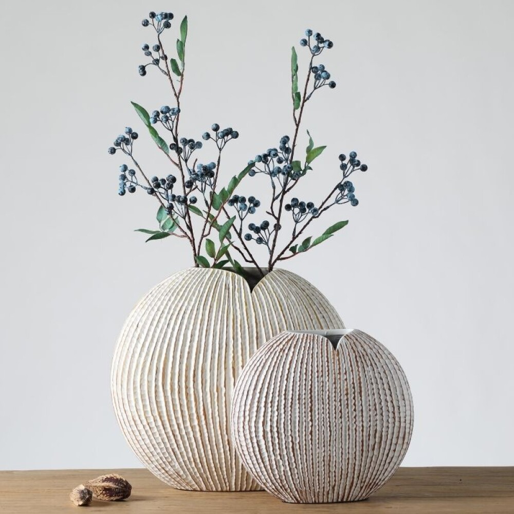 Avellana Grande Avellana Grande