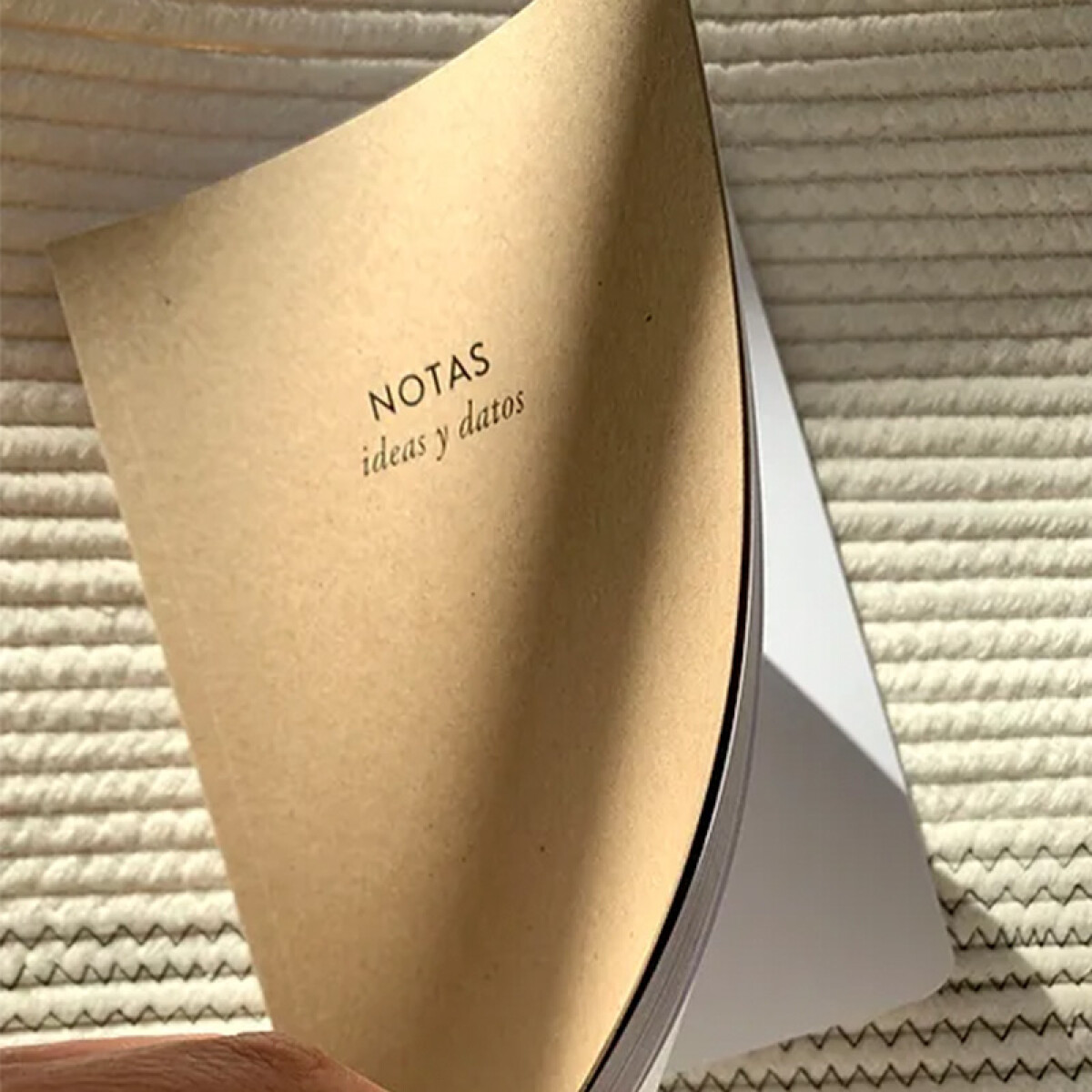Cuaderno "notas ideas y datos" 