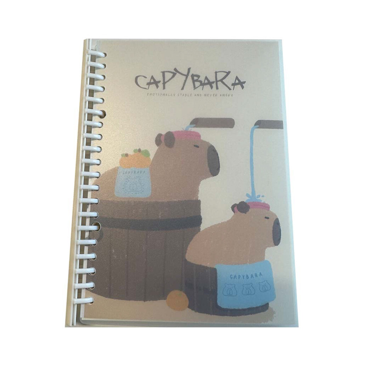 Cuaderno capibara B5 - diseño 1 