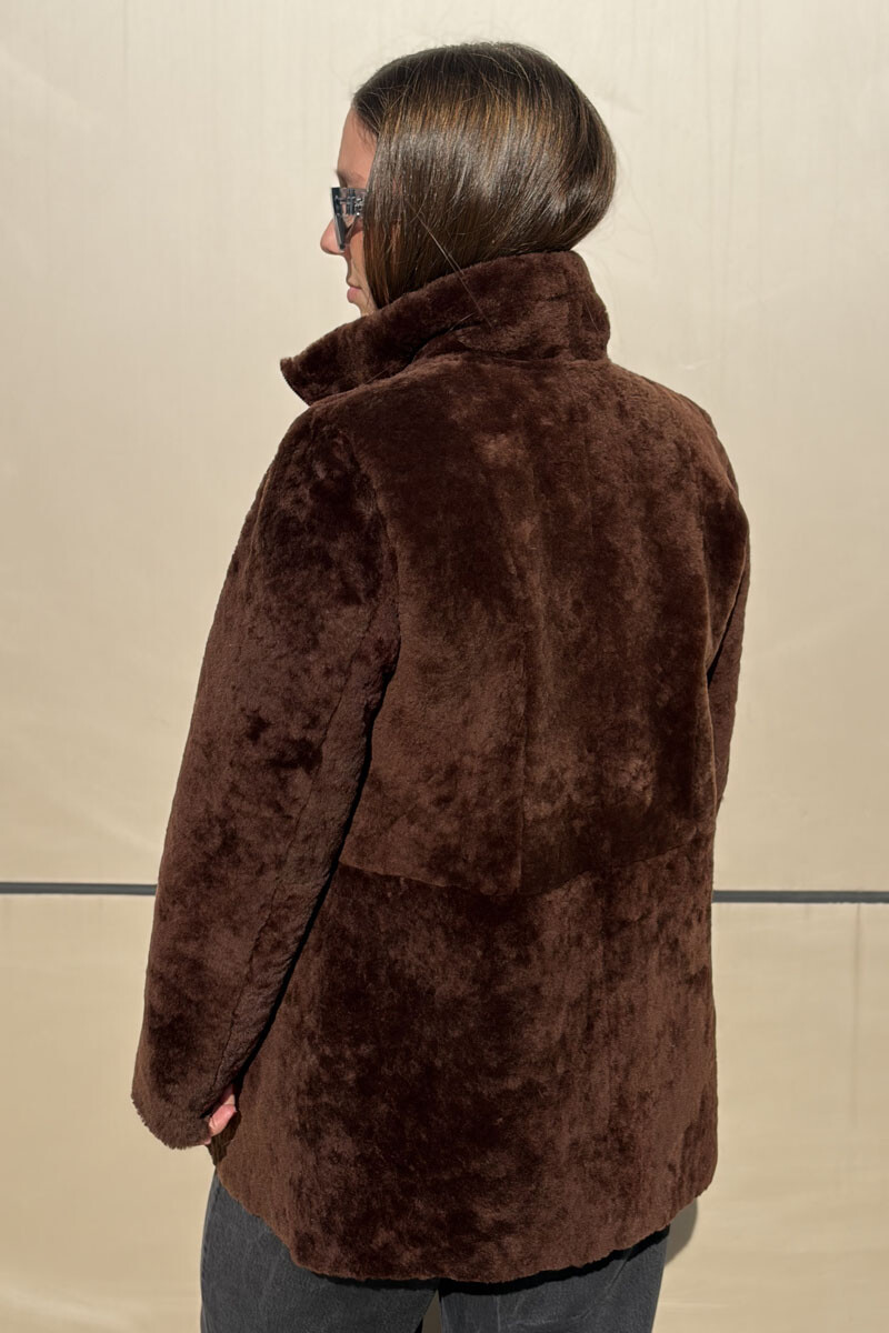 Borrego elisa Chocolate