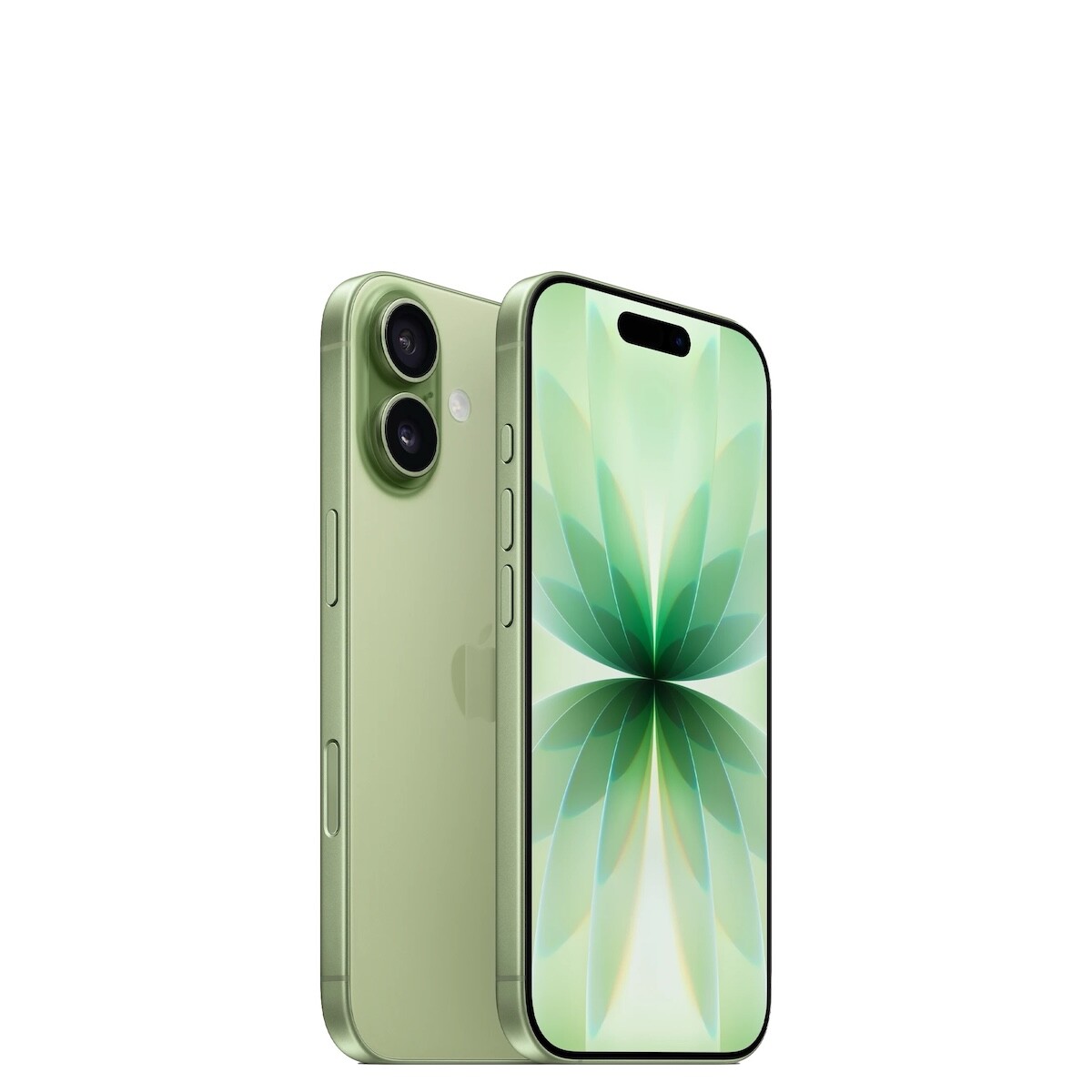 iPhone 17 256Gb Sage 