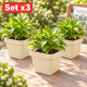 Set x3 Maceta cuadrada 1,9 lts ARENA