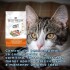 BIOFRESH GATOS CASTRADOS 7.5 KG