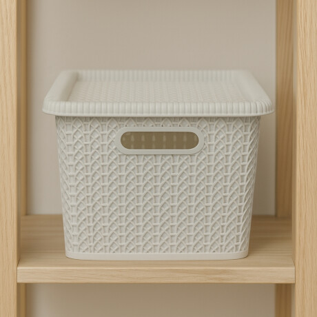 Caja organizadora simil ratán 5L BLANCO