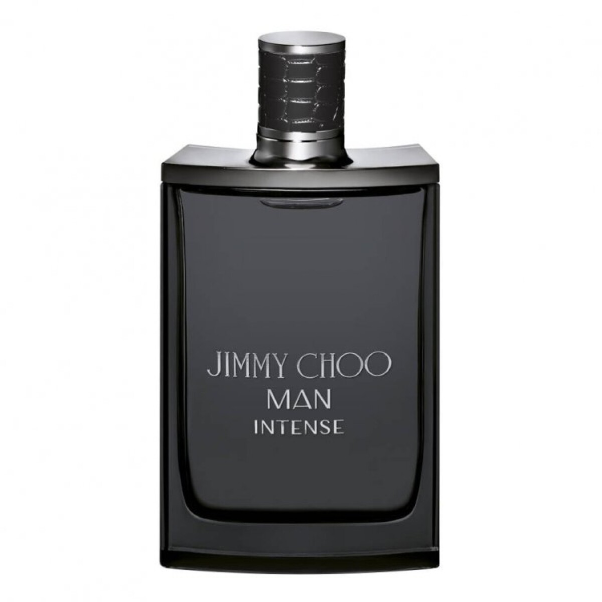 Perfume J.Choo Man Intense Edt 
