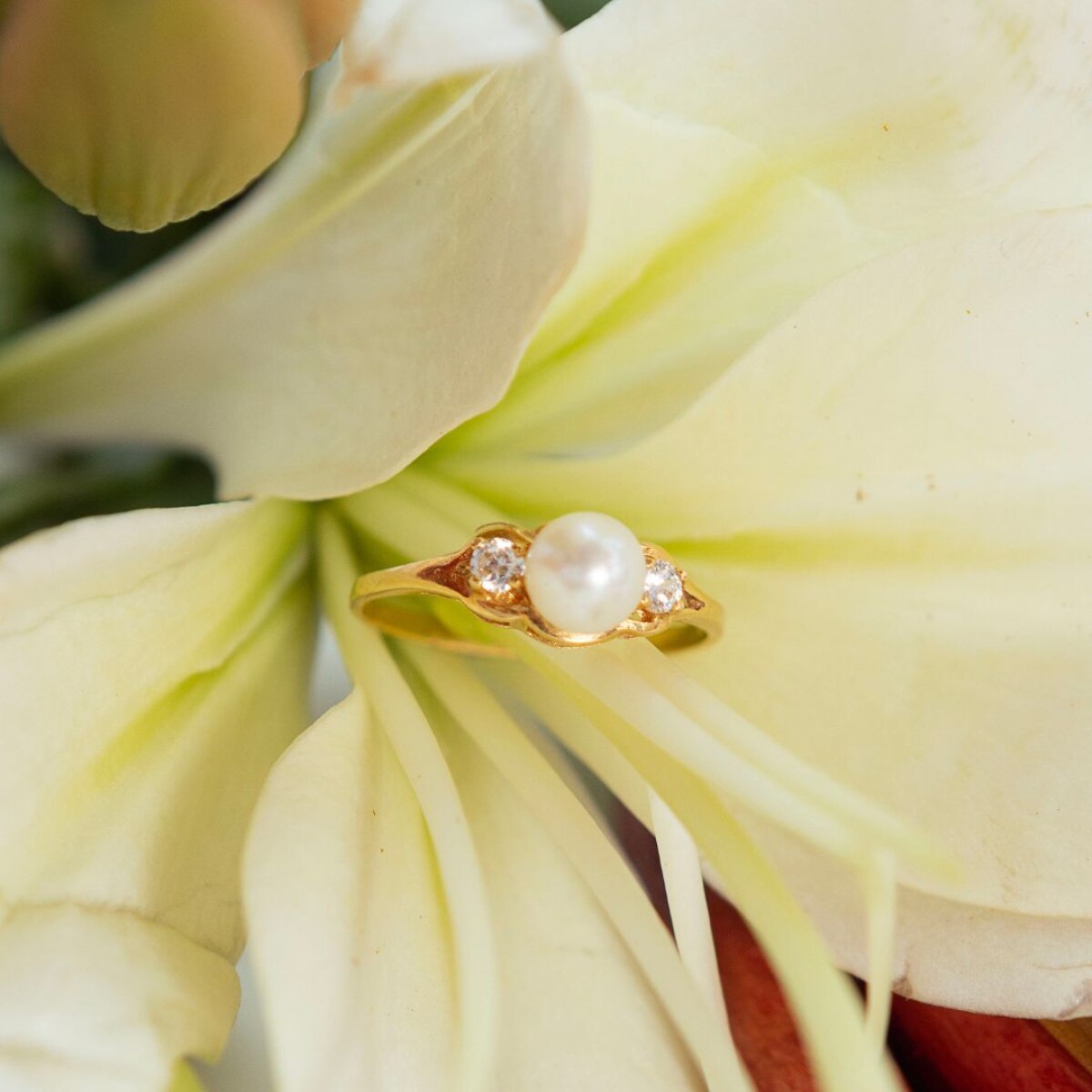 Anillo Isabelle - Oro 18k 