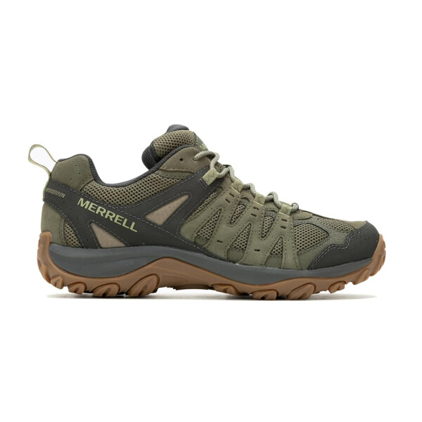 ACCENTOR 3 OLIVE - MERREL VERDE