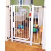Puerta de Seguridad Bebesit Auto Click Bebés o Mascotas Puerta de Seguridad Bebesit Auto Click Bebés o Mascotas