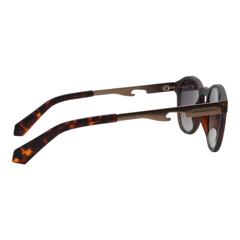 Lentes de Sol Chilli Beans Kuwait Animal Print Matte