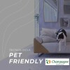 Sofa 2 Cuerpos En Tela Gris Pet Friendly Sofa 2 Cuerpos En Tela Gris Pet Friendly