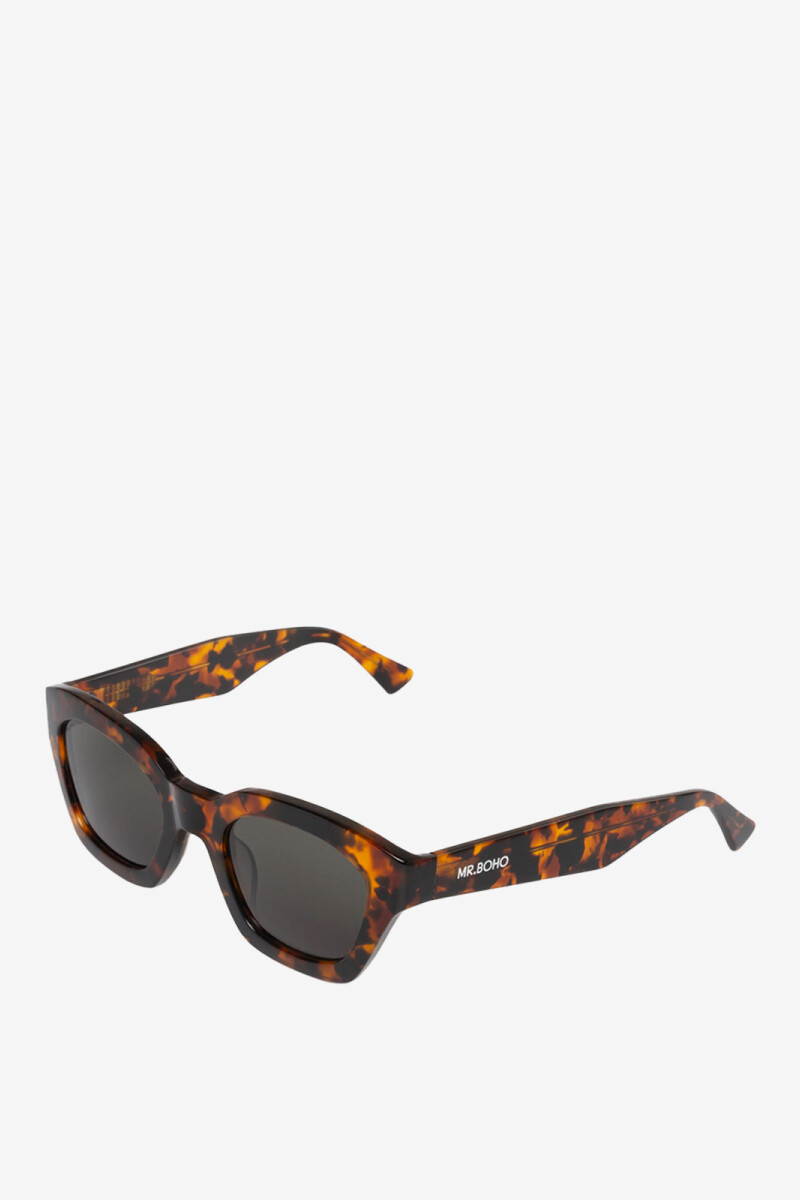 Barrosa Cheetah Tortoise Crudo