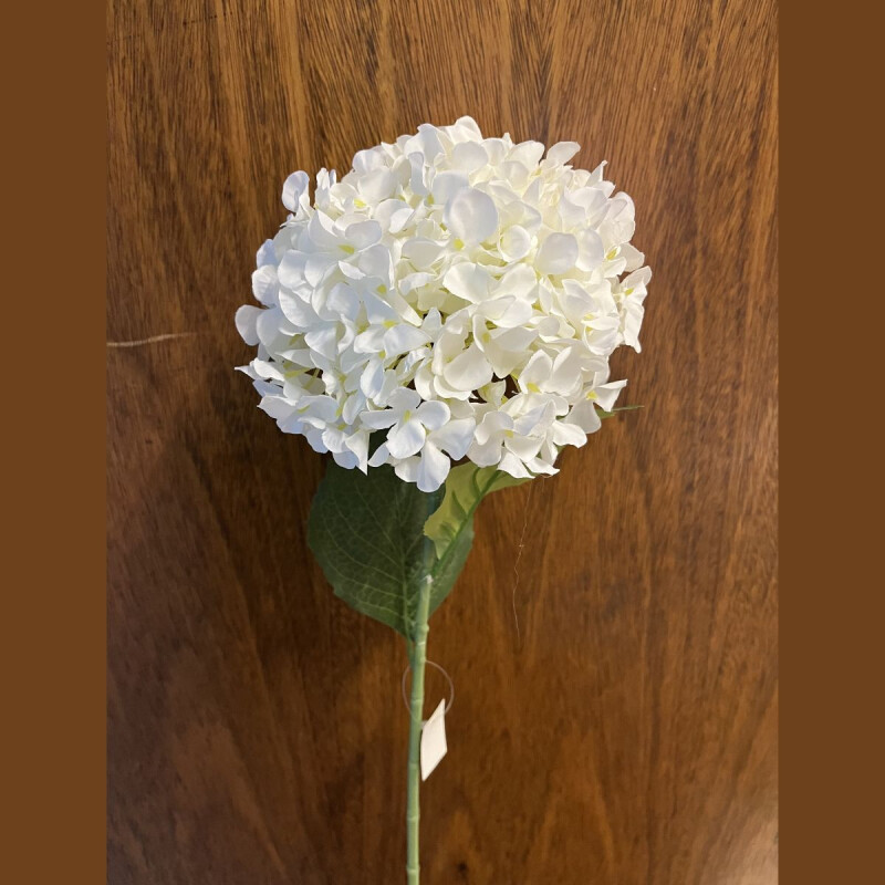 Flor Hortensia x1 Blanca