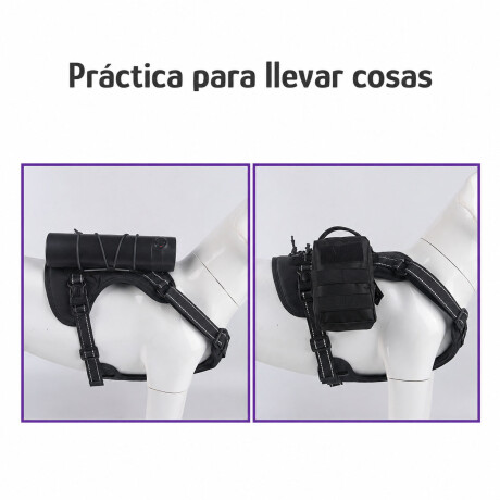 Arnés Y Correa Para Perros Con Agarre Superior Negro