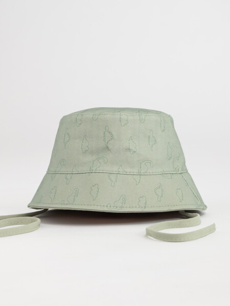 Gorro canvas estampado Dinosaurio Verde