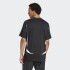 Remera Adidas Adicolor Teamgeist Negro