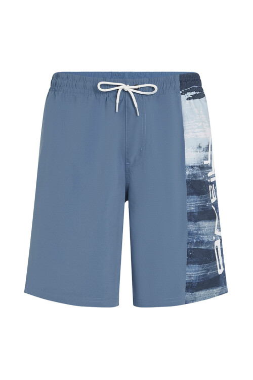Short O'Neill Retro Print Azul Short O'Neill Retro Print Azul