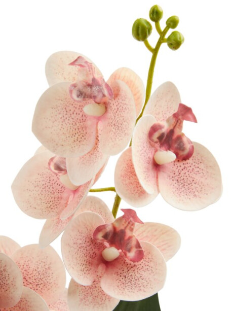 Planta artificial GUDJON H35 cm orquídea Planta artificial GUDJON H35 cm orquídea