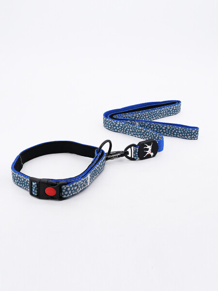 SET COLLAR CON CORREA MULTICOLOR