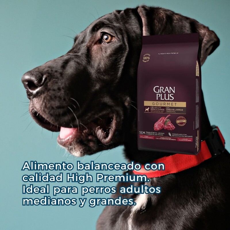 GRAN PLUS GOURMET AD. RAZA MEDIANO GRANDE CORDERO 15 KG + 1.5 KG GRATIS + REGALO GRAN PLUS GOURMET AD. RAZA MEDIANO GRANDE CORDERO 15 KG + 1.5 KG GRATIS + REGALO