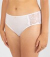 Colaless alta noctis Blanco