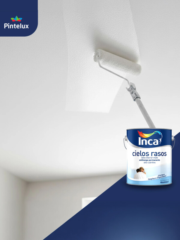 INCA CIELOS RASOS ANTIHONGOS - 4 LTS. N/A