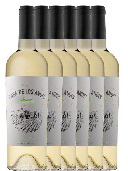 Promo 5+1 Casa de los Andes Torrontés Promo 5+1 Casa de los Andes Torrontés