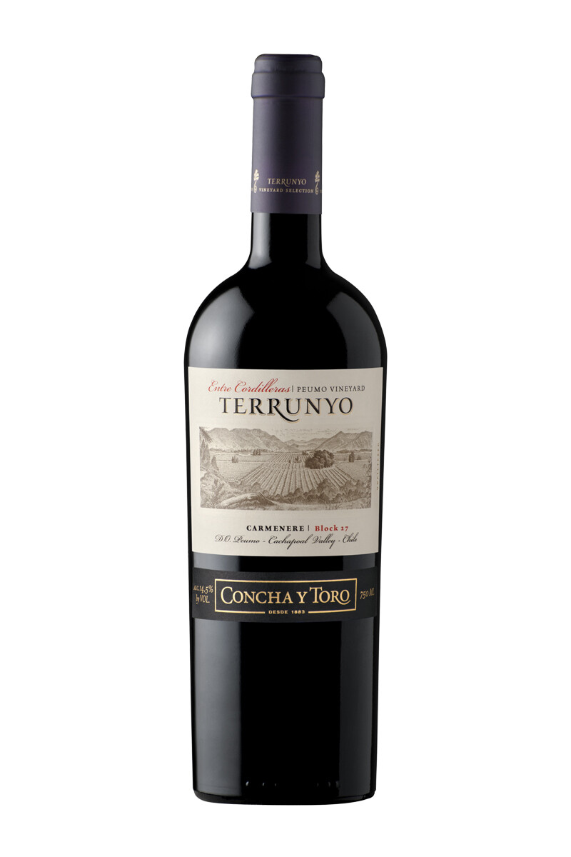 Vino Terrunyo Carmenere 750 ml 