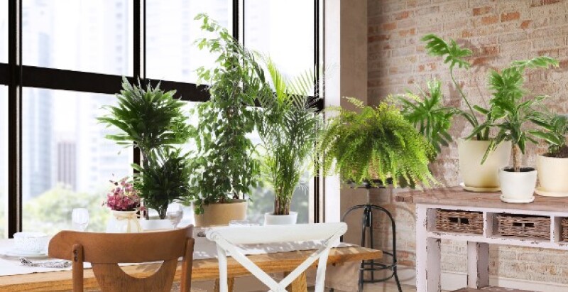 ¡Descubrí la mejor forma de combinar estilos!